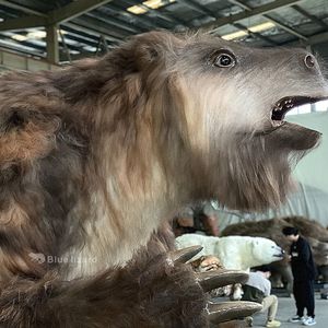 Gigantesque Modèle d'<span class=keywords><strong>animal</strong></span> éteint <span class=keywords><strong>herbivore</strong></span> <span class=keywords><strong>Animal</strong></span> animatronique Megatherium-Paresseux au sol - Product Image 6