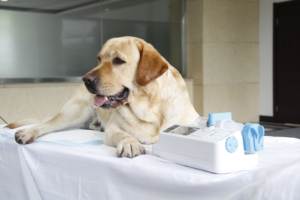 SP950VET シェンジチュ ペット用注射器注入ポンプ（犬猫用） - Product Image 5