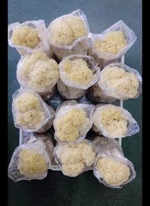 DETAN satmak karnabahar mantar tohum ekimi karnabahar mantar spawn satılık - Product Image 3