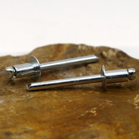Rivet aveugle spécial personnalisé en aluminium/fer DIN7337 de 2,5 mm/4,8 mm/6 mm, basé sur un dessin industriel