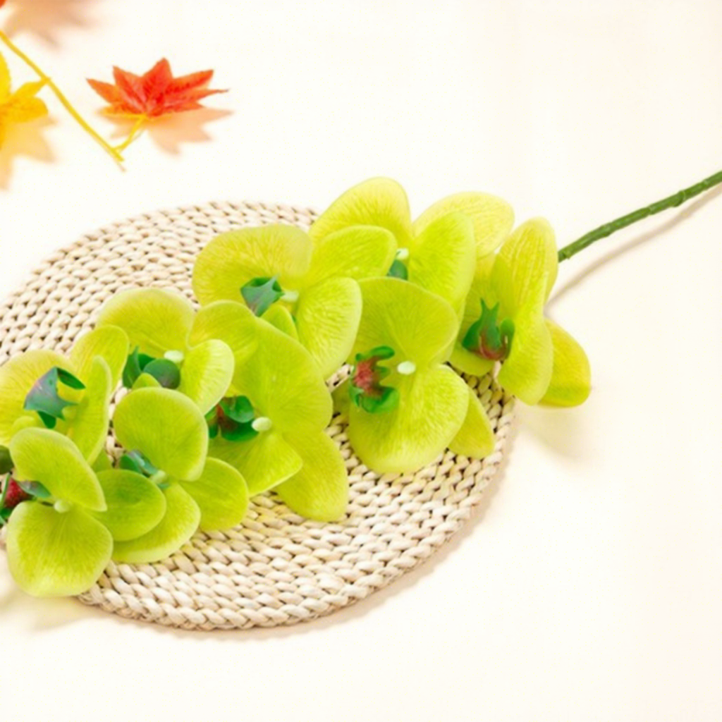 9-head phalaenopsis orchid-green with 2 green fruits