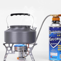 Mini réchaud pliable en acier inoxydable 304 pour le camping, pliable, portable, à gaz butane