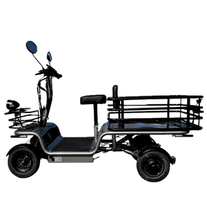 Voiture électrique mini-compacte homologuée pour la route, idéale pour les personnes âgées, offrant une grande capacité de chargement, une stabilité et une maniabilité exceptionnelles, vente en gros. - Product Image 1