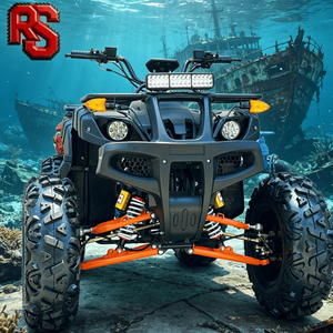 Pneus tout-terrain Raxen <span class=keywords><strong>Quad</strong></span> 250 <span class=keywords><strong>cc</strong></span> ATV à transmission automatique pour entreprise de location - Product Image 1