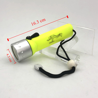Lampe de plongée LED en plastique écologique MINGRAY NINGBO, prix de gros usine, étanche IP68, haute luminosité, pour camping, 1 an de garantie