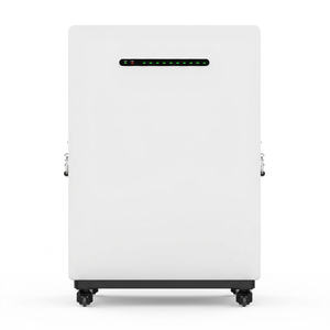 ชุดแบตเตอรี่ลิเธียม LiFePO4 200Ah 51.2โวลต์10kWh การจัดเก็บพลังงานแสงอาทิตย์สำหรับการสำรองข้อมูลในบ้านติดผนังแบบครบวงจร - Product Image 1