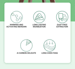 Patches de Moxabustão Mini Autoadesivos de Artemísia para Gestão da Dor - Product Image 5