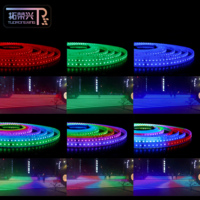 Tira de Luces LED RGB para Automóvil de 12V/24V CC, WS2811 WS2812B DMX, Direccionable, Programable, Flexible, Impermeable, con Control por Voz, de Fábrica China