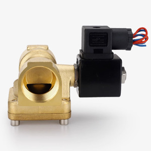 092200(NC)-AC220V NPPC merk 2-weg hogedruk waterklep, luchtpilot type, magneetventiel, messing kleplichaam voor gas, water, olie - Product Image 1