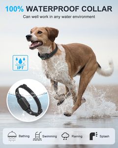 Preferred 2000ft Waterproof Plastic CE Certified Electric Rechargeable <b>Control</b> Pet Shock E Collar <b>Remote</b> Dog Training Collar for - Product Image 3