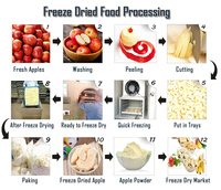 Industriële Fd Vriesdroger Apparatuur Fruit Vacuüm Vriesdroger Lyofilisator Apple Perzik Banaan Aardbei Bevriezing Dehydrators