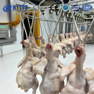 Linea completa di attrezzature per la macellazione dell'impianto di lavorazione del pollo che viene utilizzata per macelli grandi o medi con certificazione CE - Product Image 1