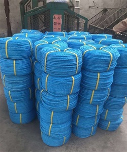 Commercio all'ingrosso della fabbrica <span class=keywords><strong>pp</strong></span> pomodoro agricoltura spago <span class=keywords><strong>PP</strong></span> corda da pesca attorcigliata - Product Image 6