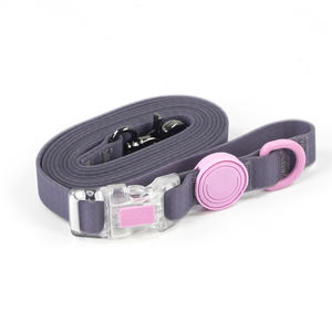 Nieuw Ontwerp Fabrikant Custom Logo Waterdichte Pvc Hond Harnas Set Huisdier Halsband Hondenriem Hond Halsband En Riem Set - Product Image 3