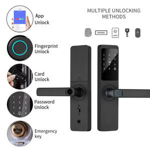 Serrure de porte intelligente WIFI professionnelle avec empreinte digitale, en alliage d'aluminium, TUYA TT Lock, serrure électronique - Product Image 1