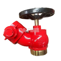 Ca-Fire 65mm vanne oblique de bouche d'incendie vanne d'atterrissage intérieure avec caractéristique flexible prix des fabricants
