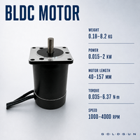 Motor DC Worm Gear GOLDGUN 12v 24v 310v Volt Torsi Tinggi 15w 30w 60w 80w 150w 400w dengan Gearbox Worm NMRV