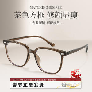 Monturas de Gafas Rectangulares para Mujer Danyang 90100, Montura Completa, Lentes de PC Anti-UV, para Rostros Cuadrados y Redondos - Product Image 4