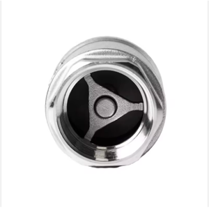 Thép không gỉ dọc kiểm tra van 1000PSI PTFE niêm phong <span class=keywords><strong>304</strong></span>/316 Inline không trở lại kiểm tra van - Product Image 4