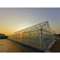 Serre hydroponique verticale à simple portée IGreen, film PE, agriculture à faible coût, tunnel