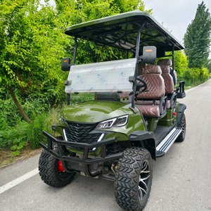Voiturette de golf 2 places, batterie lithium 48V, autonomie 100 km, avec pare-soleil, phares LED, haut-parleurs, certifiée CE, voiturette de golf 4 places - Product Image 3