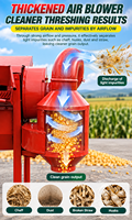 Machine à battre multi-cultures à haute efficacité pour le blé, le riz, le soja, le millet et le sorgho