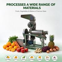 Presse à vis industrielle robuste pour l'extraction de jus avec moteur 3KW et tamis de 0,6 mm pour les usines de jus