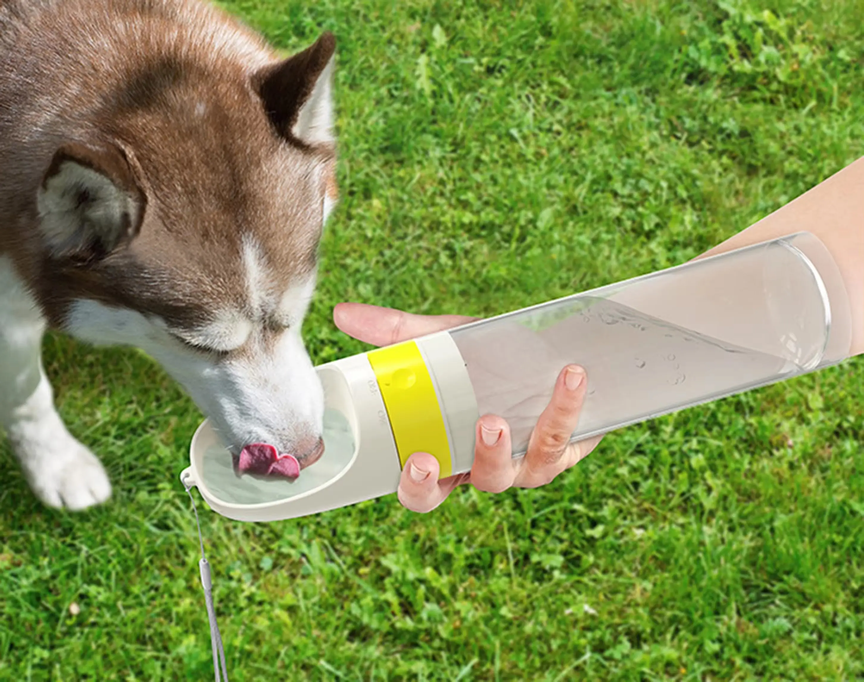 Mangeoire intelligente pour animaux de compagnie Bouteille d'eau multifonctionnelle pour chiens en plein air 4 en 1 Bouteille d'eau pour animaux de compagnie Bouteille d'eau portable pour animaux de compagnie