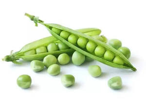 エンドウ豆タンパク質粉末有機バルク価格エンドウ豆タンパク質分離有機エンドウ豆タンパク質20kg - Product Image 5