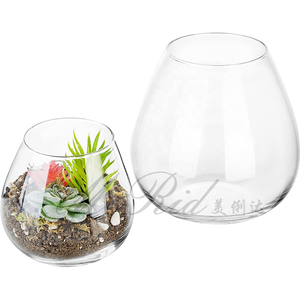 Ronde Glazen Plant Tafelblad Terrarium Sappige Lucht Plant Planter Viskom Milieuvriendelijk - Product Image 3