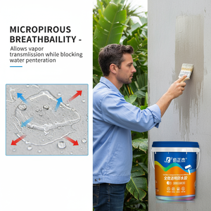 Solución Impermeabilizante Transparente, Revestimiento Acrílico de Silano para Techos, Terrazas, Paredes, Sótanos, Reparación de Fugas - Product Image 5