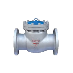 Обратный поворотный клапан ANSI/DN500/фланцевый/для атомной энергетики/паровой/углеродистый/чугунный/нержавеющая сталь/по низкой цене - Product Image 6