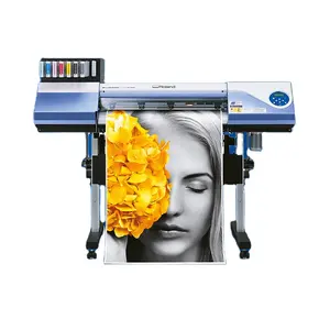 Warmte Roland Rs 640 Bn-20 Versastudio Kleine Formaat 1.3M Roland Eco Solvent Printer Plotter Mimaki Eco Solvent Printer