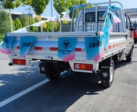 Mini-camion Foton 4x4 à essence le plus vendu, camionnettes JMC, mini-camions à essence à vendre