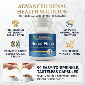 Complément Rénal OEM pour Chiens et Chats – Capsules de Soutien <span class=keywords><strong>Renal</strong></span> Détoxifiantes – Formule Vétérinaire à Marque Blanche – Fabrication en Usine - Product Image 1