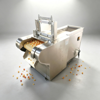 DF1000 Droge Beef Jerky Palm Date Cube Cutter Gedroogd Vlees Fruit Snijmachine