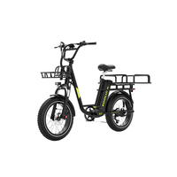 Vélo cargo électrique pour la livraison du dernier kilomètre, 250W, 48V25Ah, batterie lithium sans balais, longue portée 120km, moyeu arrière en acier, double suspension