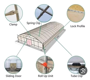 Serre <span class=keywords><strong>agricole</strong></span> à simple portée en film plastique transparent de grande taille et économique, avec structure en tube d'acier circulaire et abri de sol - Product Image 6