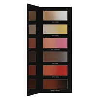 Paleta de blush multifuncional fosco, sombra de blush multifuncional, monocromático, gradiente e brilhante
