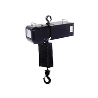 Palan électrique de scène 500kg moteur à chaîne pour treillis affichage D huit Standard 220v-440v palan de divertissement triphasé