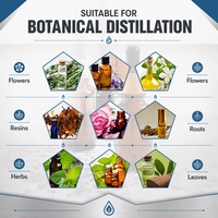 Équipement d'extraction par distillation sous vide d'huiles essentielles électrique automatique de haute qualité