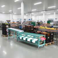 Hoge capaciteit fruit- en groentesorteerinstallatie voor blauwe bessen, tomaten, mango's, aardappelen, kiwi's, perziken en appels te koop