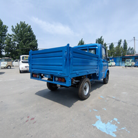 Camionnette électrique utilitaire chinoise neuve pour la livraison, 4 roues, 2 places, avec benne de chargement