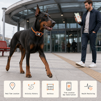 Traceur GPS pour animaux de compagnie G68P, compact et facile à transporter, confortable à porter, suivi de localisation en temps réel, historique des trajets