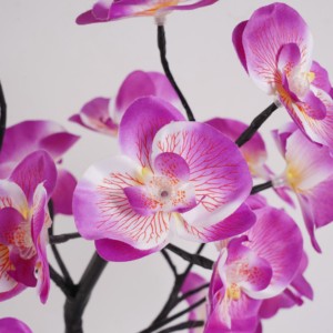 Luces LED Decorativas Premium para Árbol de Orquídeas <span class=keywords><strong>Phalaenopsis</strong></span> con Ramas Negras <span class=keywords><strong>en</strong></span> Forma de Z Pequeñas, Luz Púrpura - Product Image 2