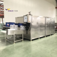 Op maat gemaakte stoomverwarmde fruitdroogmachine, commerciële kersen- en bessendroogapparatuur voor fruitverwerkingsbedrijven
