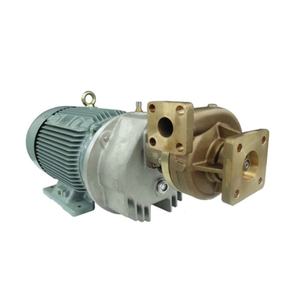 Pompe Submersible Avancée pour Gaz GPL (10-100 m³/h) – Idéale pour le Transport de GNL - Product Image 1