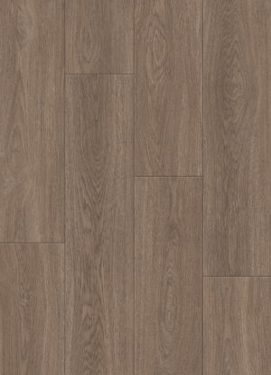 ช็อกโกแลต