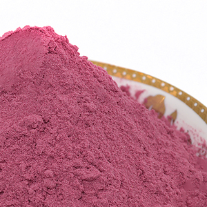 Poudre de fruits d'églantier en gros Faitury, 15% 25% Anthocyanes, Extrait de fruits d'églantier en poudre - Product Image 3