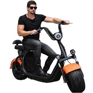 Livraison directe, scooter électrique Citycoco, pneus larges, 2 roues, pousse-pousse, batterie au lithium 250W, moteur sans balais, frein à disque numérique, roue large - Product Image 4